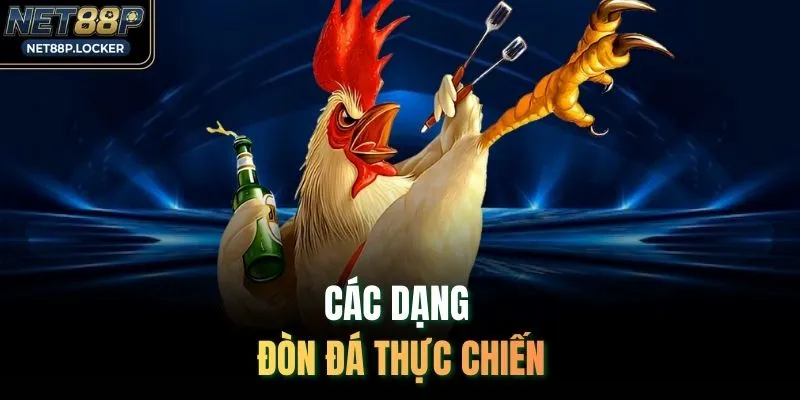 Các dạng đòn đá thực chiến