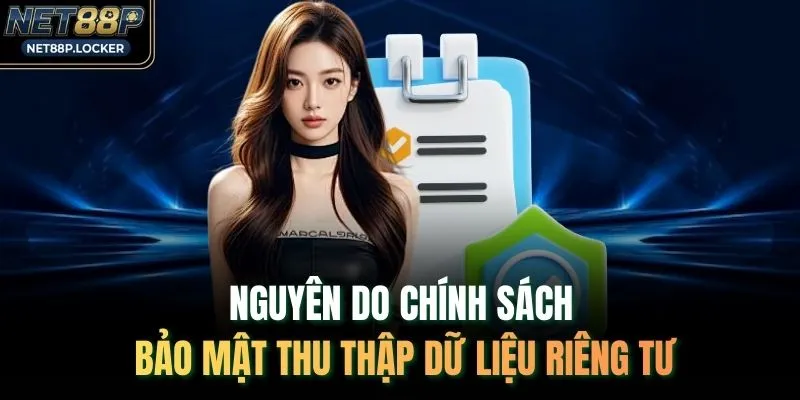 Nguyên do chính sách bảo mật thu thập dữ liệu riêng tư 