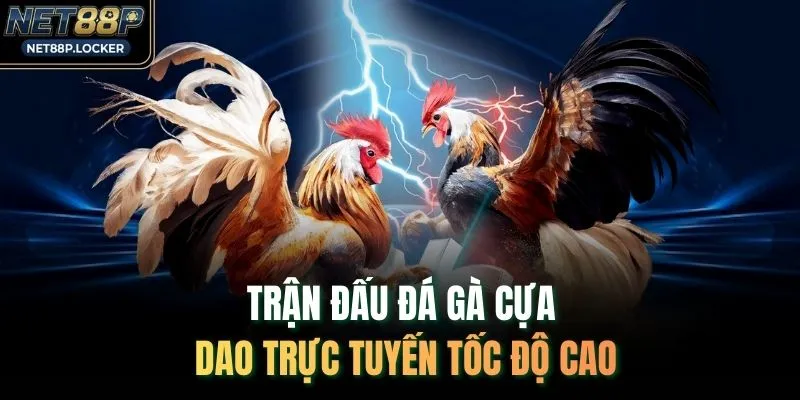 Trận đấu đá gà cựa dao trực tuyến tốc độ cao
